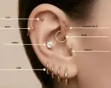 Kolczyk do concha to ten duży, centralnie umieszczony z cyrkonią. Obok widać inne kolczyki: lobe, helix, flat, forward helix, daith i tragus.
