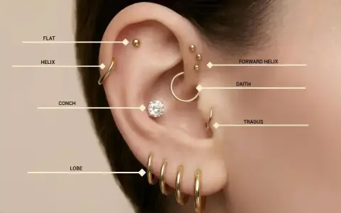 Kolczyk do concha to ten duży, centralnie umieszczony z cyrkonią. Obok widać inne kolczyki: lobe, helix, flat, forward helix, daith i tragus.
