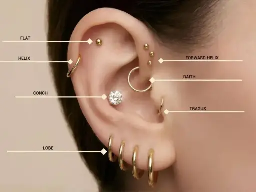 Kolczyk do concha to ten duży, centralnie umieszczony z cyrkonią. Obok widać inne kolczyki: lobe, helix, flat, forward helix, daith i tragus.